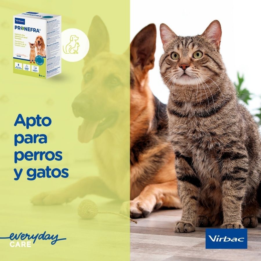 180 ml Virbac Pronefra para perros y gatos, , large Imagen numero 5