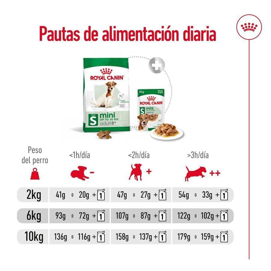 Royal Canin Mini 8+ Adult pienso para perros thumbnail