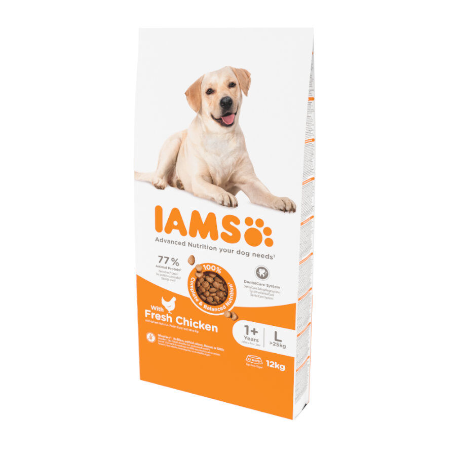 12 kg IAMS for Vitality Adult Large Proactive pienso para perros, , large Imagen numero 1