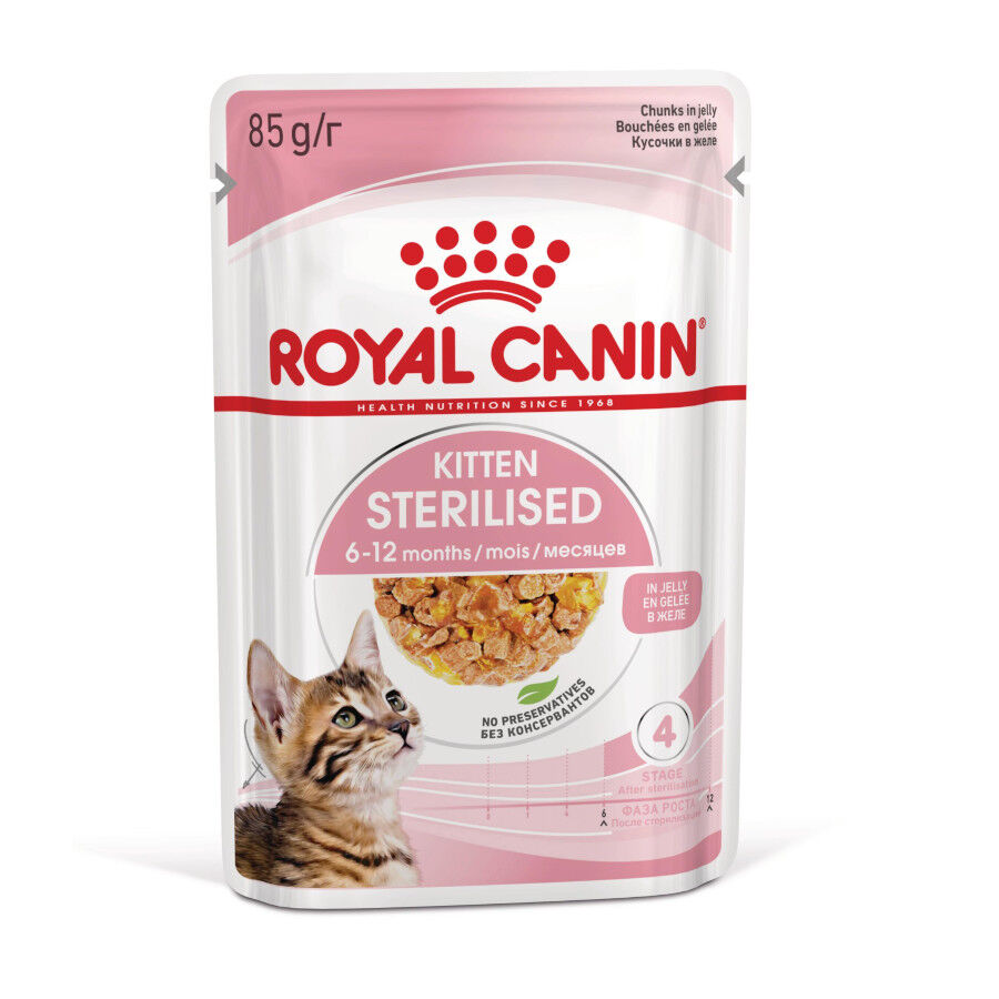 Royal Canin Kitten Sterilised gelatina para gatos thumbnail