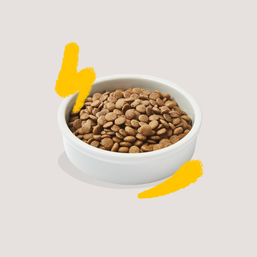 Edgard &amp; Cooper Adult Pavo y Pollo pienso para gatos thumbnail