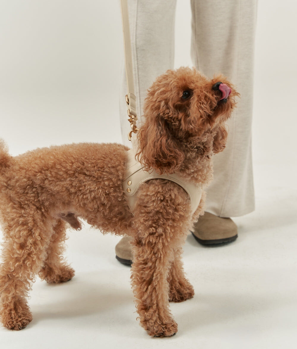 CAFIDE Arn&eacute;s Cuero Vegano Jala Beige, , large Imagen numero 3