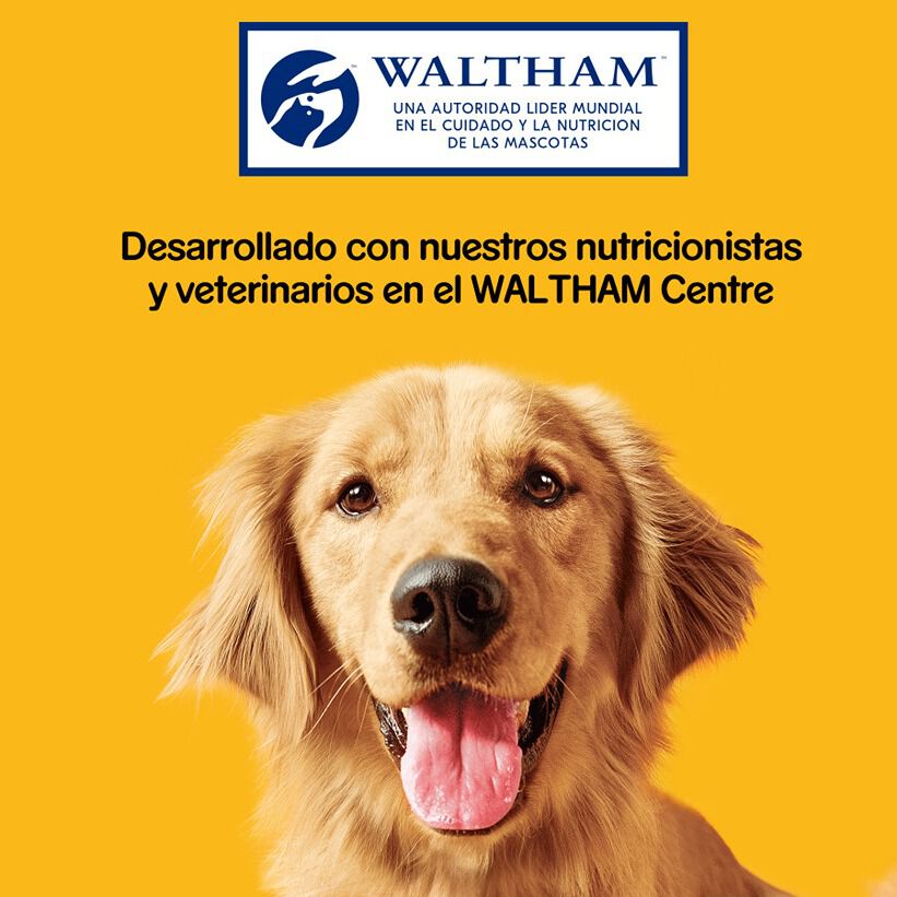 Pedigree Tasty Mini Snacks Sabor Queso y Buey para Perros thumbnail