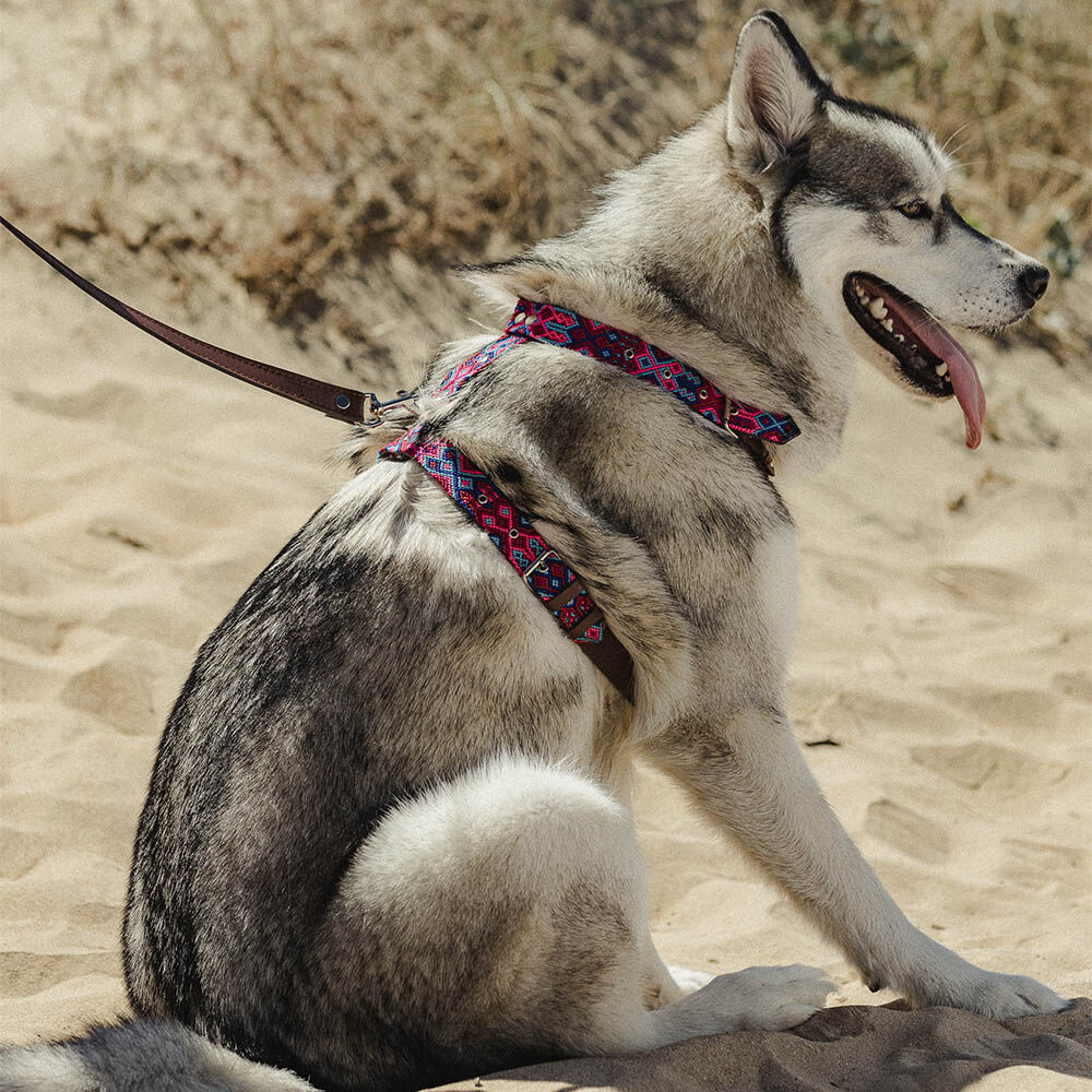 ARN&Eacute;S &Oacute;RALE - XS, , large Imagen numero 5