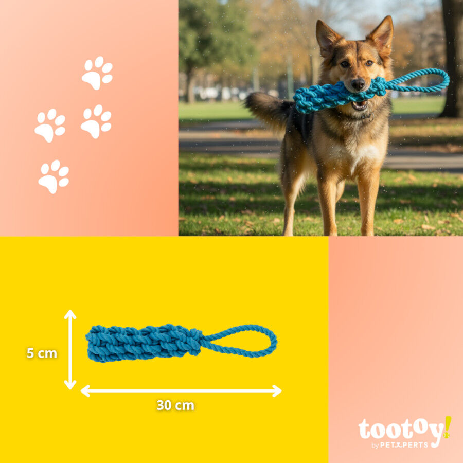 Tootoy! Mordedor de Cuerda Azul para perros, , large Imagen numero 4