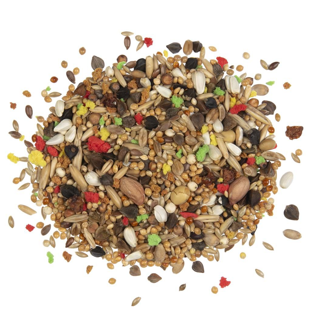 Country agapornis 600g., , large Imagen numero 2