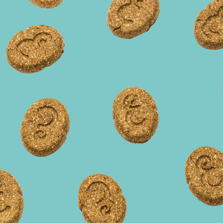 Edgard &amp; Cooper Galletas Festive de Pavo y Pato snack para perros thumbnail