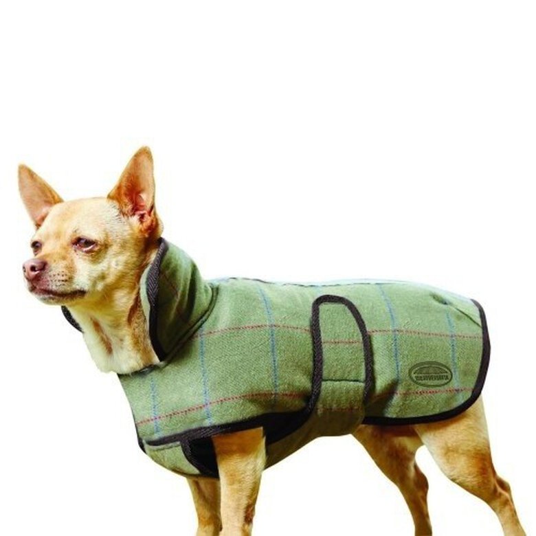 Abrigo Weatherbeeta de Tweed II para perros color Oliva, , large image number null