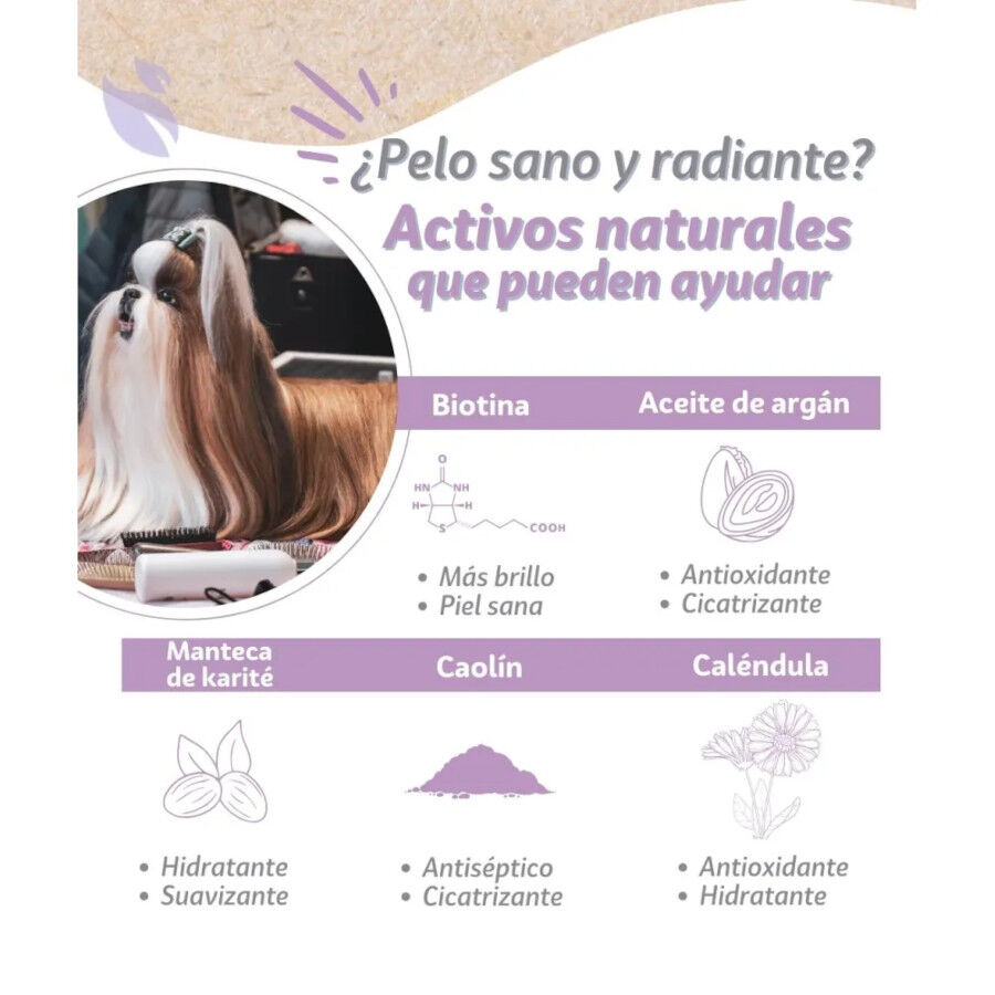 KOWI CHAMP&Uacute; + ACONDICIONADOR S&Oacute;LIDO, 70 gr, , large Imagen numero 2