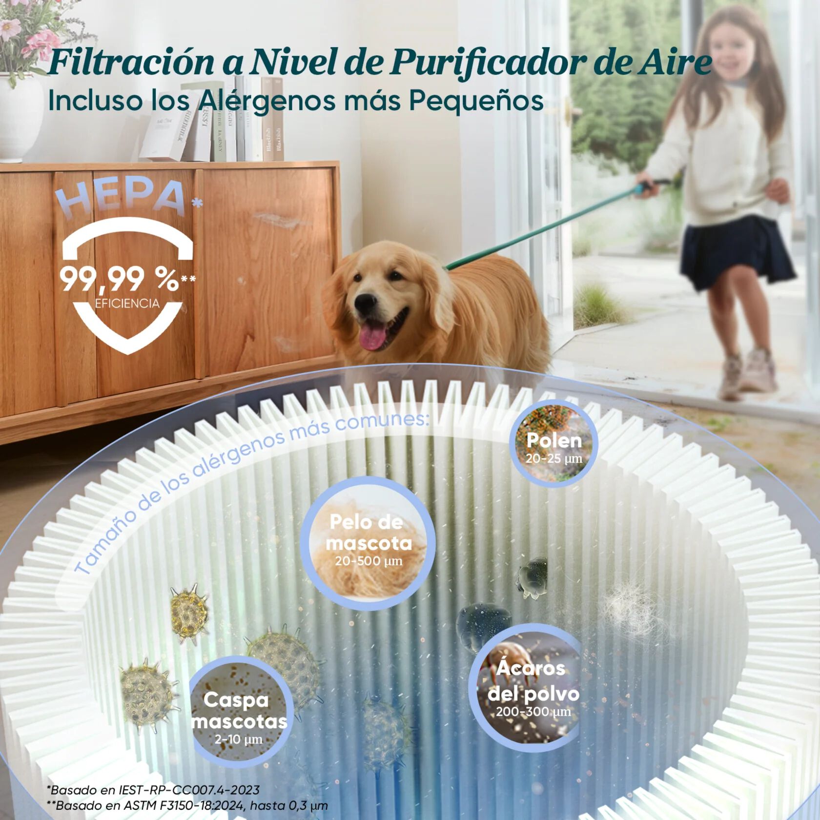 LEVOIT Aspiradora inalámbrica LVAC-300 Plus con un cepillo anti-enredos, motor 240W y cabezal flexible de 180° thumbnail