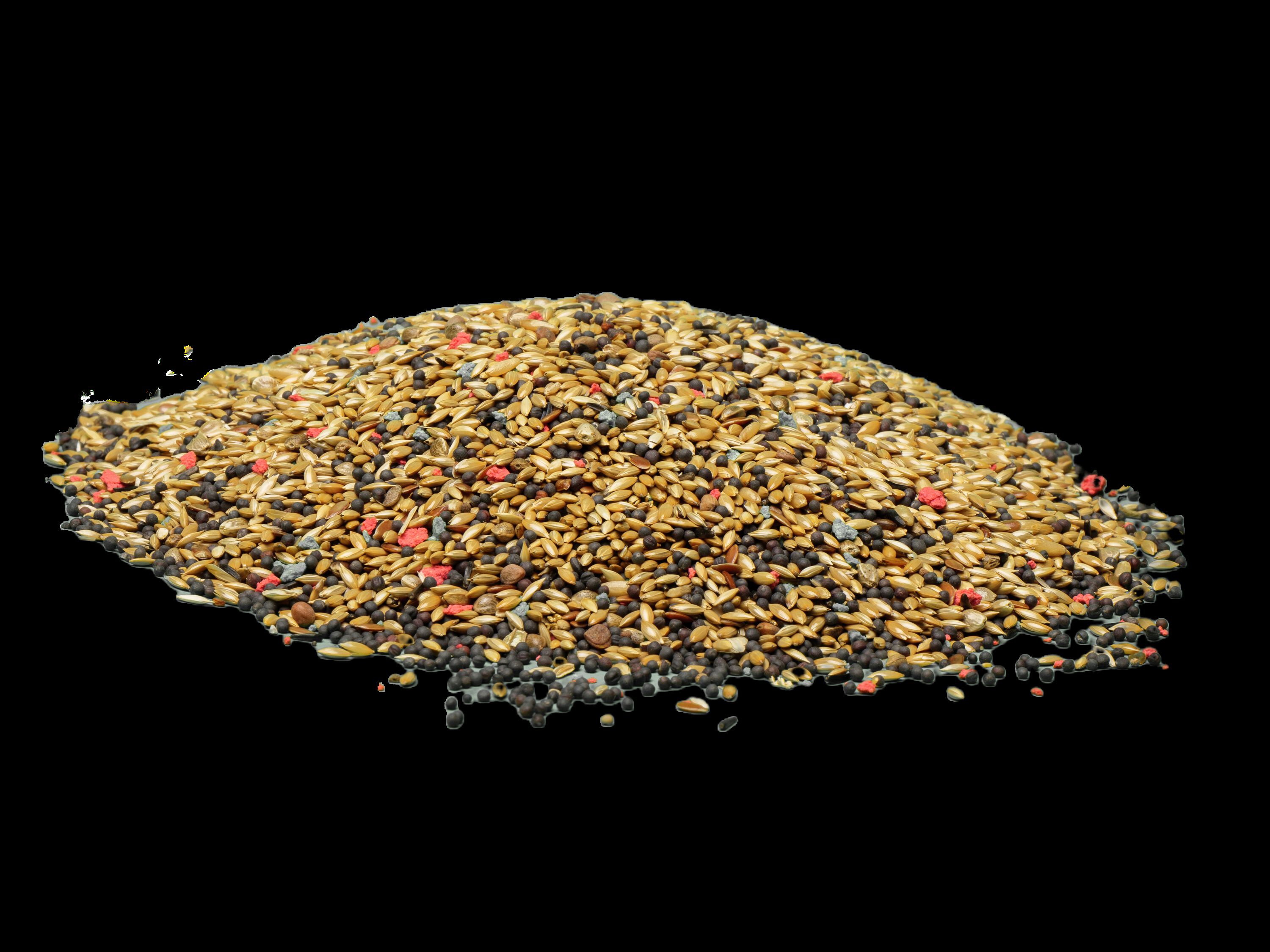 WUAPU ALIMENTO CANARIO 1 KG, , large Imagen numero 2