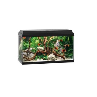 Juwel primo acuario led negro 