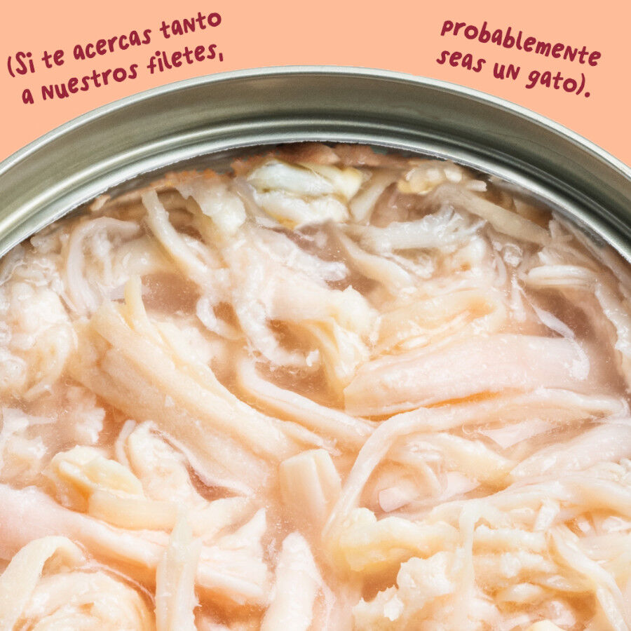 70 g Edgard & Cooper Filetes de Pollo Lata para gatos, , large Imagen numero 5