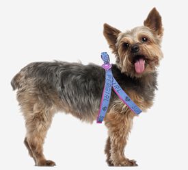 FORFANPETS SuperGirl Arnés Rosa y Azul para perros