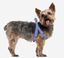 FORFANPETS Arnés / Petral Para Perro Supergirl S-M, , large indicador imagen numero 1