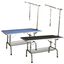 Mesa para peluquería canina Especial Razas Grandes Color Azul, , large indicador imagen numero 1