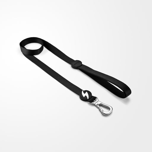 Correa de nylon para perro color Negro, , large Imagen numero 2