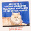 85 g Edgard & Cooper Trucha y Pollo sobre en salsa para gatos, , large indicador imagen numero 10