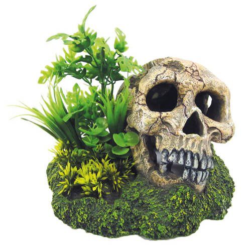 Croci calavera con plantas decoraci&oacute;n para acuario Imagen numero 1