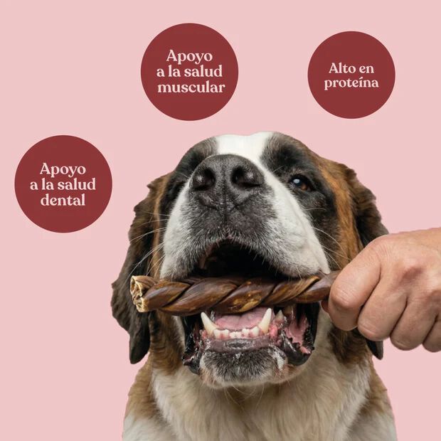 dr.bimix Es&oacute;fago de Ternera Trenzado para Perros | Masticaci&oacute;n Natural y Salud Dental, , large Imagen numero 3
