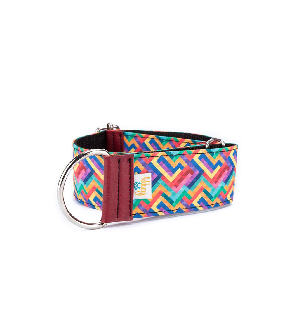 Pamppy galgo speedy pixel collar regulable multicolor para perros, , large Imagen numero 1