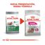 Royal Canin Exigent Mini pienso para perros, , large indicador imagen numero 3