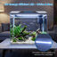 Nobleza - Acuario de Cristal 54L con Iluminaci&oacute;n LED y Filtro Interno, Pecera con Tapa para Peces, Dise&ntilde;o de Vidrio Curvo, Blanco, , large indicador imagen numero 4