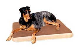 MAXTIN CAMA VISCOLÁSTICA MARRÓN PARA PERROS