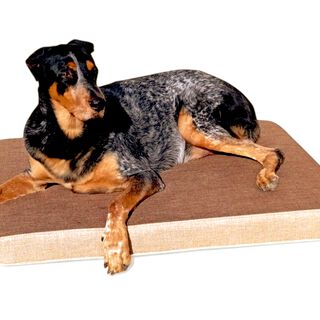 MAXTIN CAMA VISCOLÁSTICA MARRÓN PARA PERROS