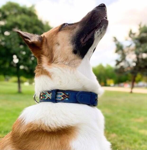 LOYAL COLLAR DE PIEL ARTESANAL TALLA L PARA PERROS, , large Imagen numero 5