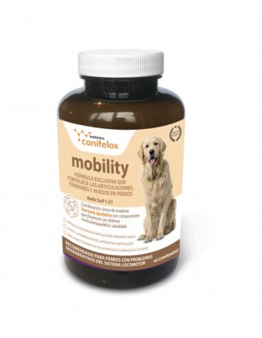 MOBILITY, mejora la movilidad en Perros, , large Imagen numero 1