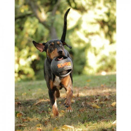 Zeus pelota mini xtrem bomber de caucho negro y naranja para perros, , large Imagen numero 2