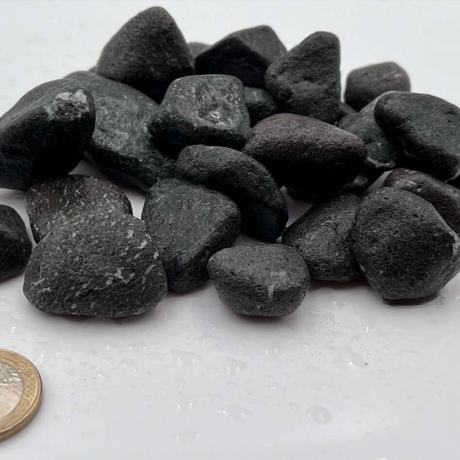 Vio Habit Grava mediano Negra para Acuarios thumbnail