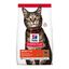 10 kg Hill's Science Plan Adult Cordero pienso para gatos, , large indicador imagen numero 1