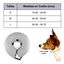 Ideal Pets, Collar Isabelino para Perros + Collar a medida| Collar de Recuperación para Perro | Collar Perros para No Rascarse, , large indicador imagen numero 2