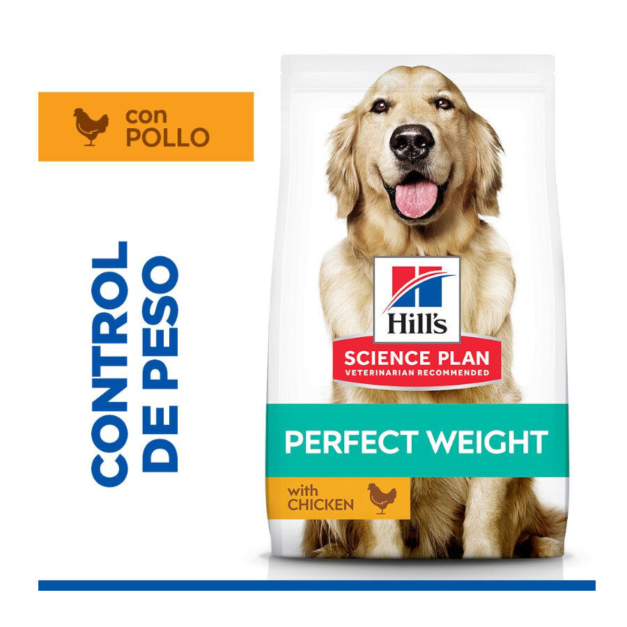 12 kg Hill's Science Plan Perfect Weight Adult Large Pollo pienso para perros, , large Imagen numero 2