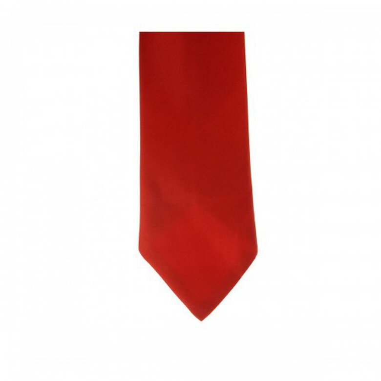 Corbata lisa infantil para concurso hípica color Rojo, , large image number null