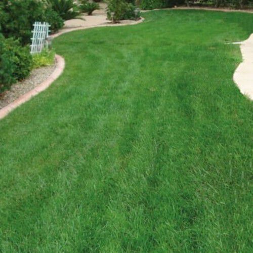 Roca antimanchas para perros thumbnail