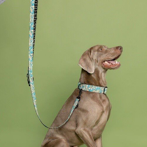 Baona correa kamilo multiposici&oacute;n de nylon reciclado para perros, , large Imagen numero 2