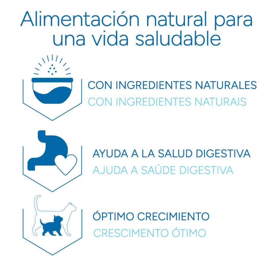 Criadores Cient&iacute;fico Kitten pollo pienso para gatitos, , large Imagen numero 6