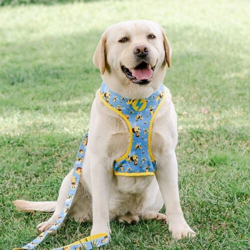 Correa Honeybee para perros, , large Imagen numero 2