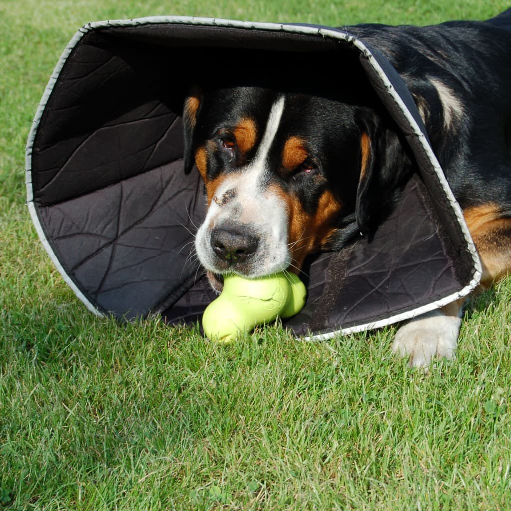 All Four Paws Collar de recuperaci&oacute;n Comfy Cone negro XL 30cm, , large Imagen numero 3