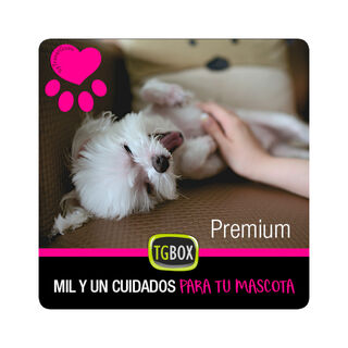 Tgbox Mil Y Un Cuidados Para Tu Mascota Premium para perros