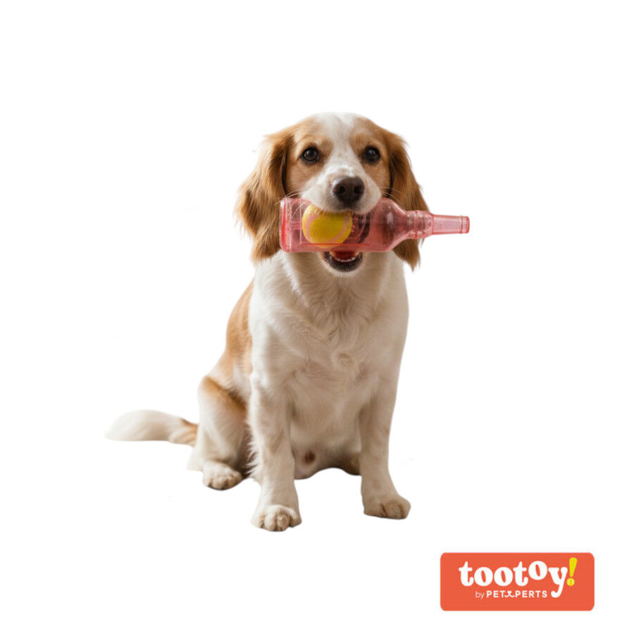 Tootoy! Mordedor Botella con Pelota de Goma para perros, , large Imagen numero 3