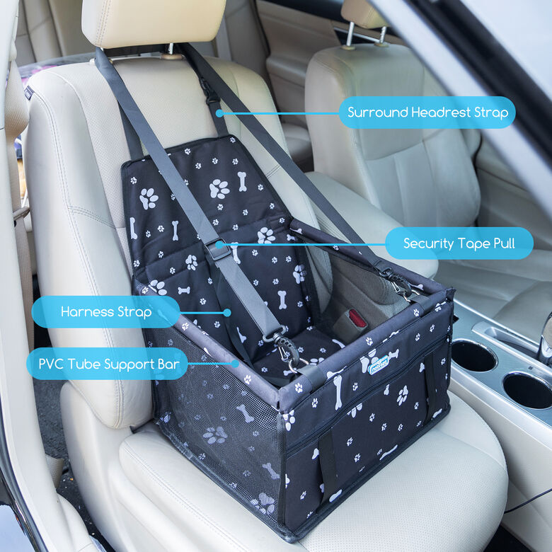 Nobleza o para perros thumbnail