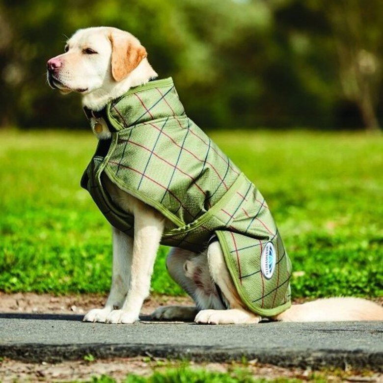 Abrigo parka Weatherbeeta para perros color Estampado oliva, , large image number null
