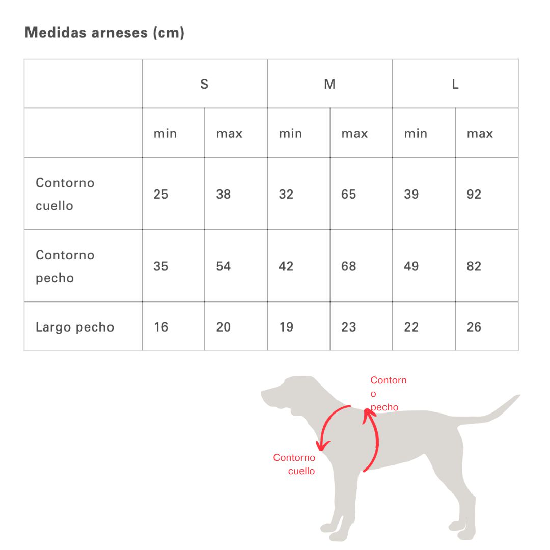 Arn&eacute;s NEON PARTY SUNRISE, , large Imagen numero 5