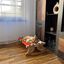 EL ÁTICO PETS Hamaca Gato Ventana. Uso Colgante a 2 Patas o en Suelo con 4 Patas. Cama Gato Radiador. Hamaca Ventana Gato. Cama para Gatos Grande. Cat Bed. Camita para Gatos, , large indicador imagen numero 4