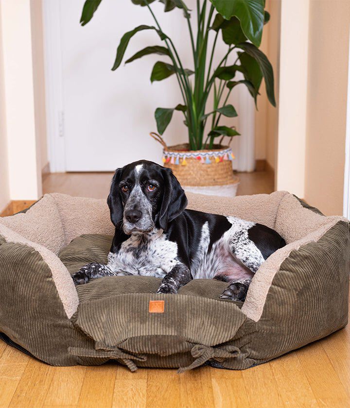 Pet and Co Cama De Cuerda Doble Cara Caqui Ronny - Perros, , large Imagen numero 4