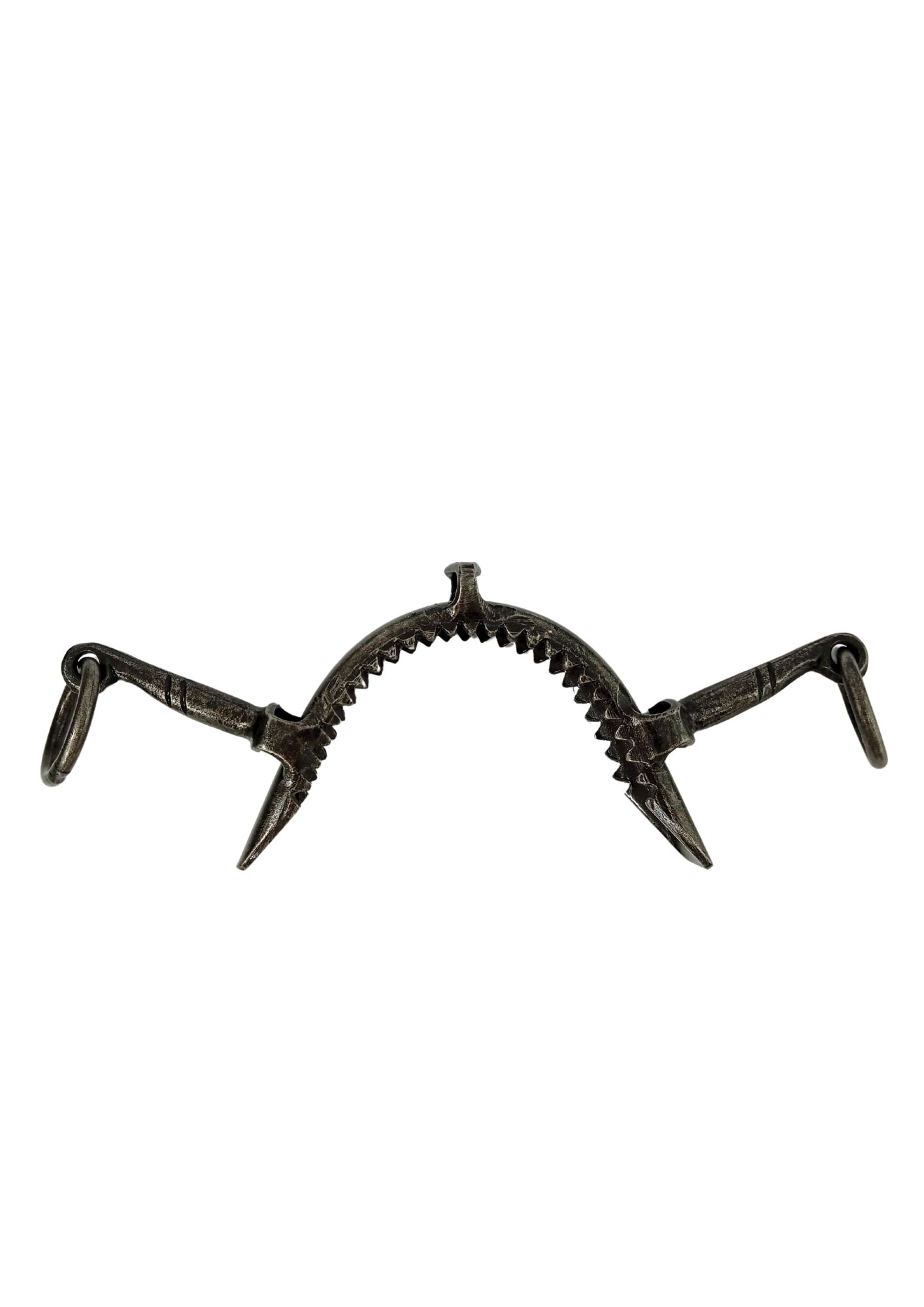 Muserola fragua | Pilares largos | Equipamiento para el caballo | Producto de Guarnicioner&iacute;a | Tradici&oacute;n artesana | Color Acero | Los Nietos, , large Imagen numero 1